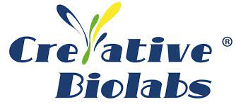 Creative Biolabs (002)