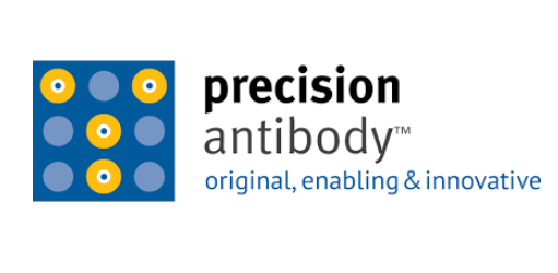 Precision antibody