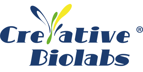 Creative Biolabs - exhibition partner - 16th world adc san diego