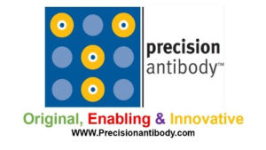 Precision-Antibodys