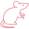 Preclinical Preclinical